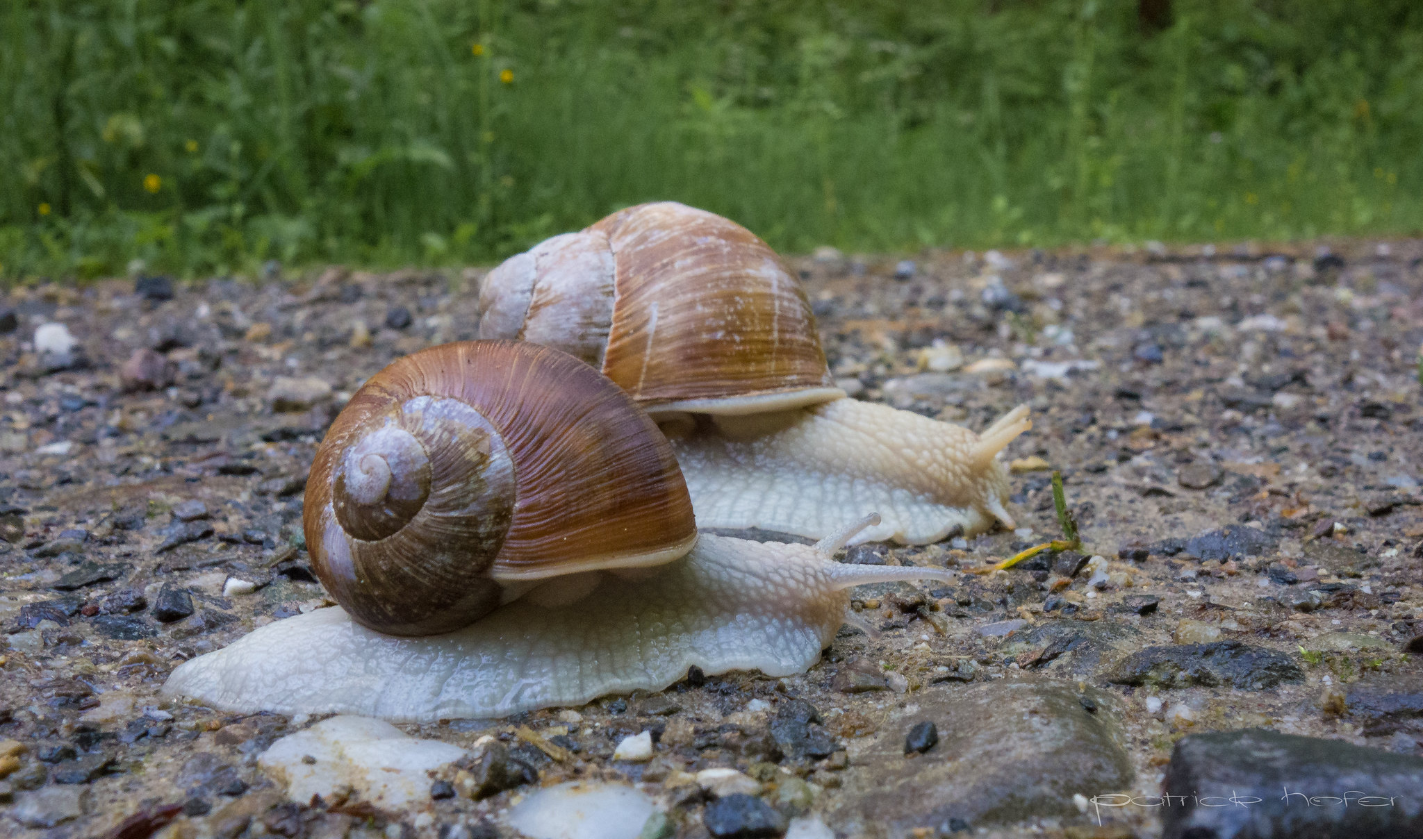 Check your website speed !